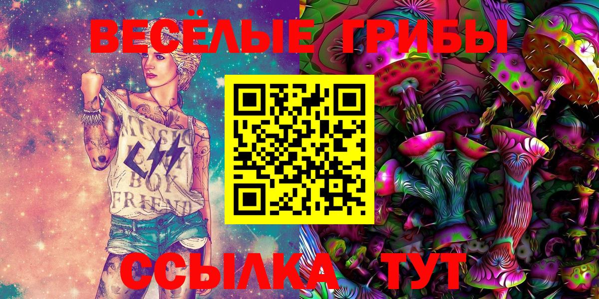 Галлюциногенные грибы Psilocybe  Вход с VPN  Горно-Алтайск 