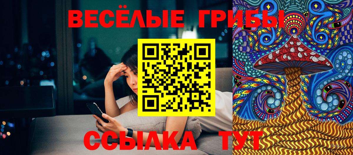 Галлюциногенные грибы мицелий Горно-Алтайск